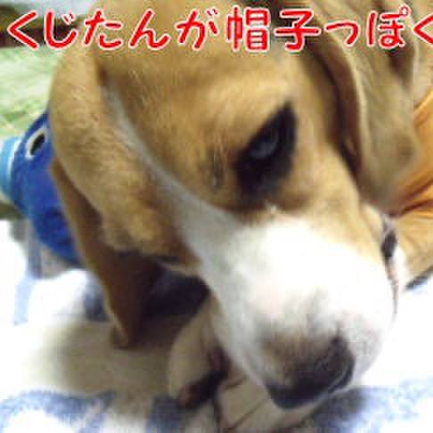 Fa119b48 820a 4b0c 9ed8 57b93642417c 1724370230028