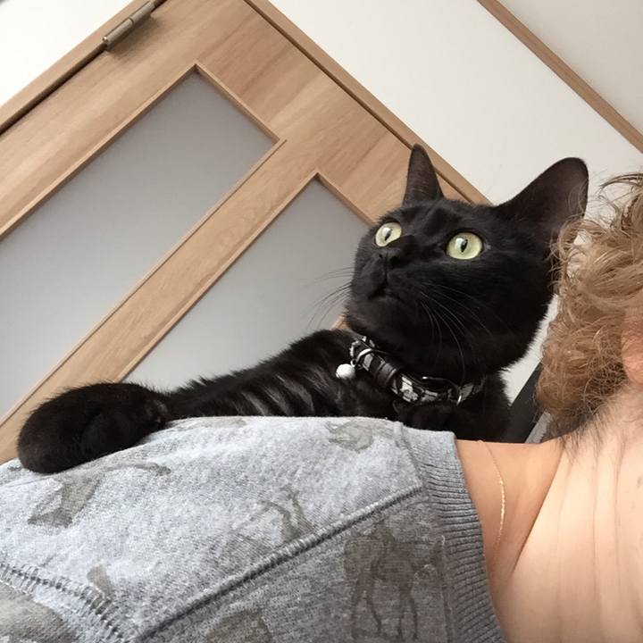 Fa11b553 f6c3 43d0 960b 571f3557c0d8 1513686812847