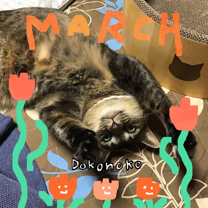 Fa11c2c0 19b6 479f 89e0 466204cf19ff 1741426037622