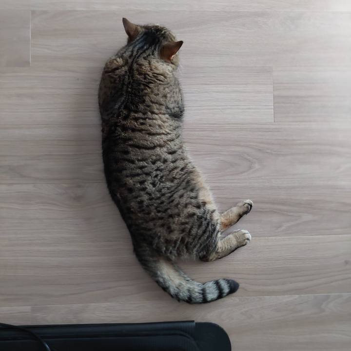 Fa11db4c 902b 4a01 9e61 bba85c215852 1658714948348