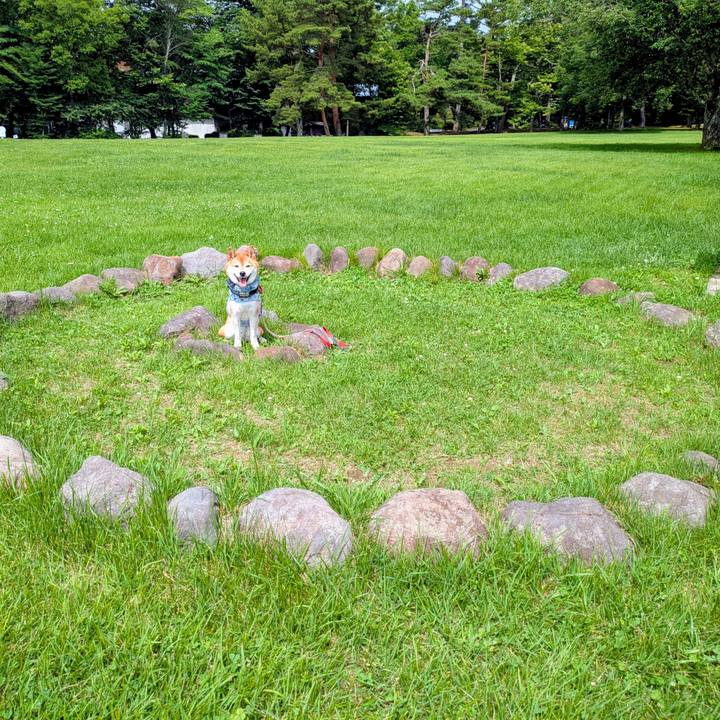 Fa11e068 0470 4342 a75e 4d38b0e6adf8 1751680428245