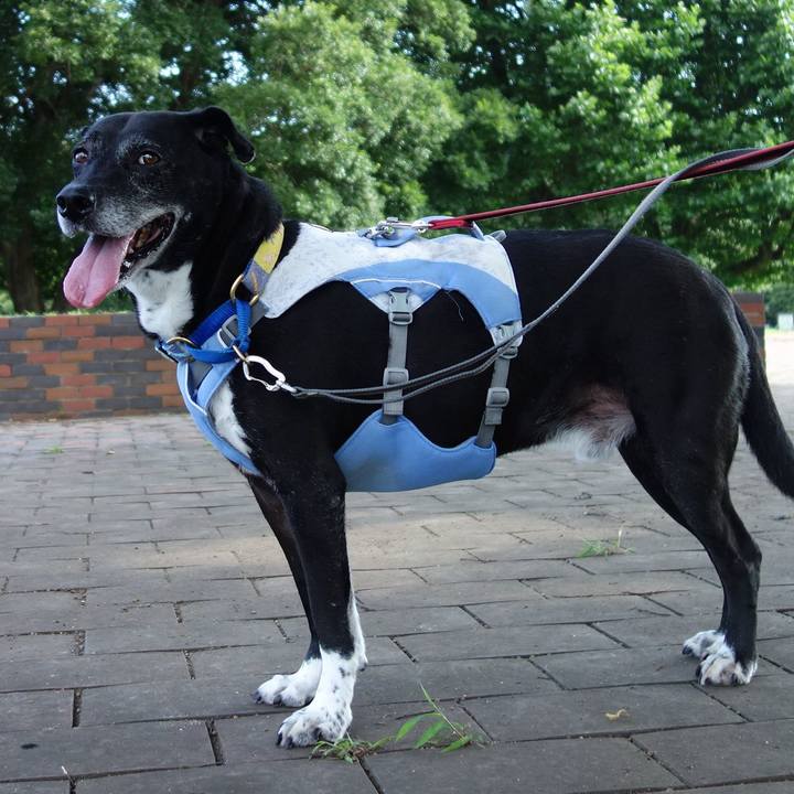 Fa120f58 a694 43c8 a881 a6938ecef6bd 1750205080286