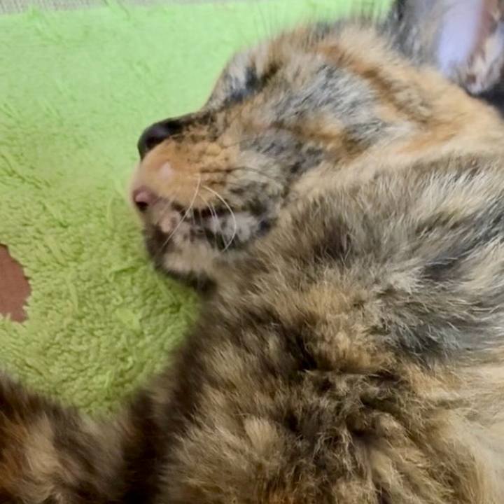 Fa126631 24d9 4239 8556 ea36758a43b1 1752226951572