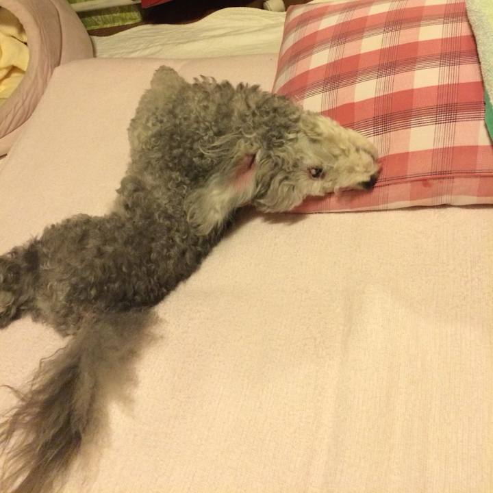 Fa127ee8 6f10 41af af24 c484bf9e404e 1759827520678