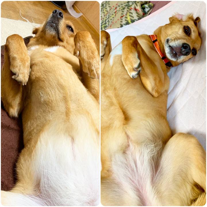 Fa129430 d644 40fb 8893 d74286ab72dc 1560588674893