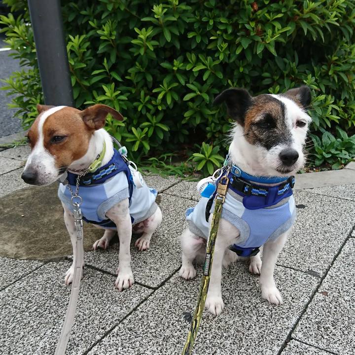 Fa129d75 f312 4e9a a08a 0ea9b63fed26 1561672768166