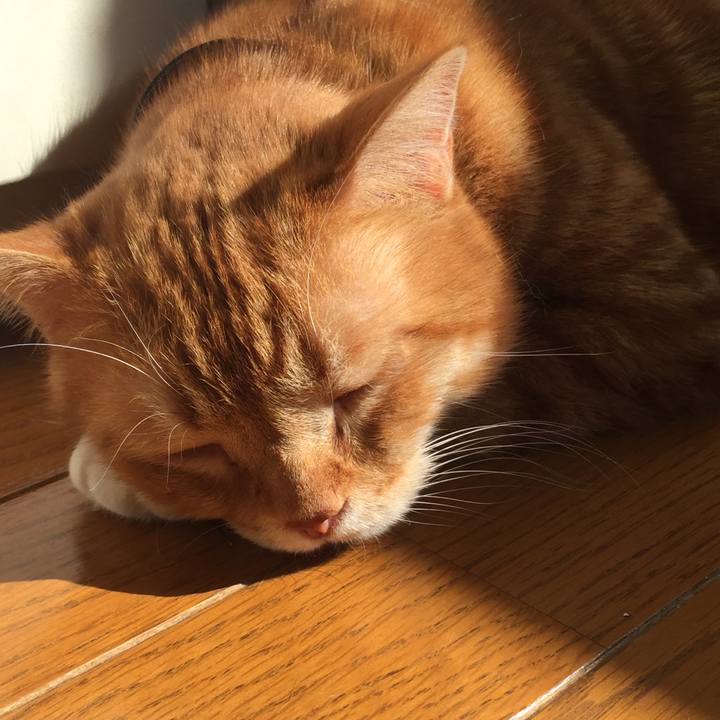 Fa12a6aa a7ca 4c2c 8419 b38a0737f2a0 1550731879095