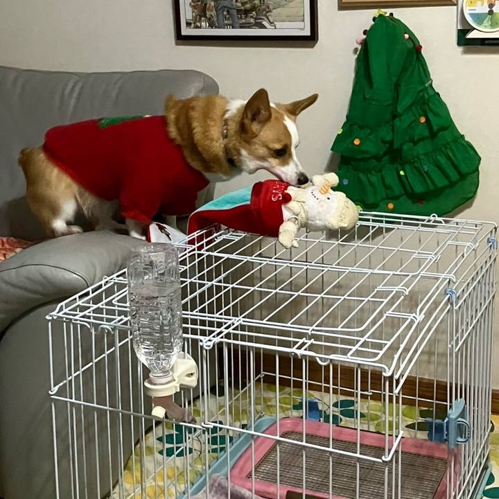 Fa136b6d 9b55 41be a2bc 8ef829b118d1 1766618440515