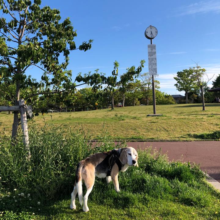 Fa1384b2 47eb 4555 8386 44a1f24742bd 1620686386462