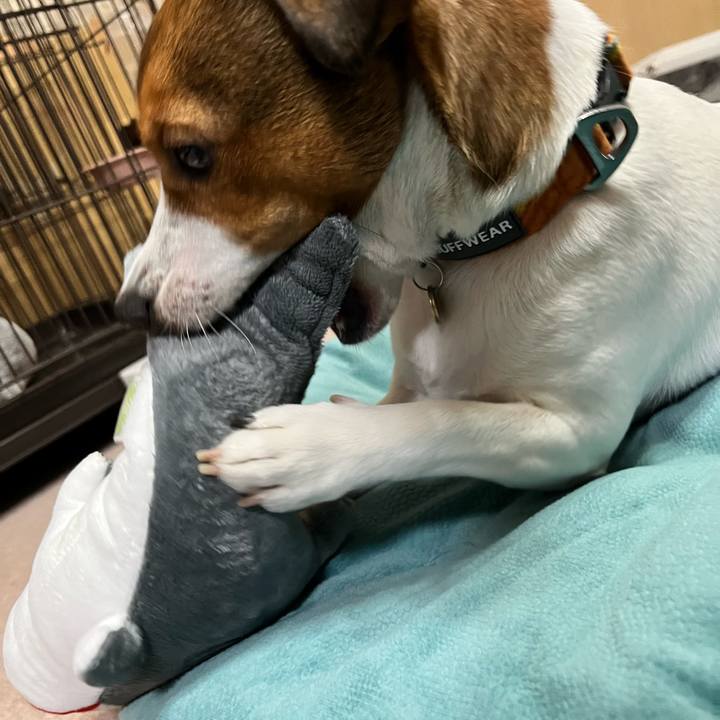 Fa139e74 6cd8 4471 b97b aa65974013e2 1710077906526