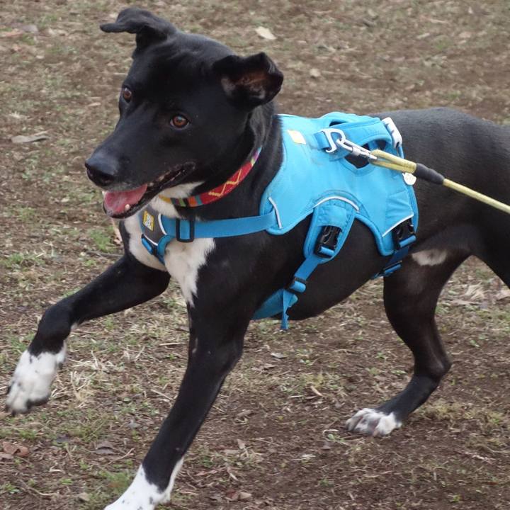 Fa13a339 fb05 48c1 8876 05b6734abe1b 1614042699570