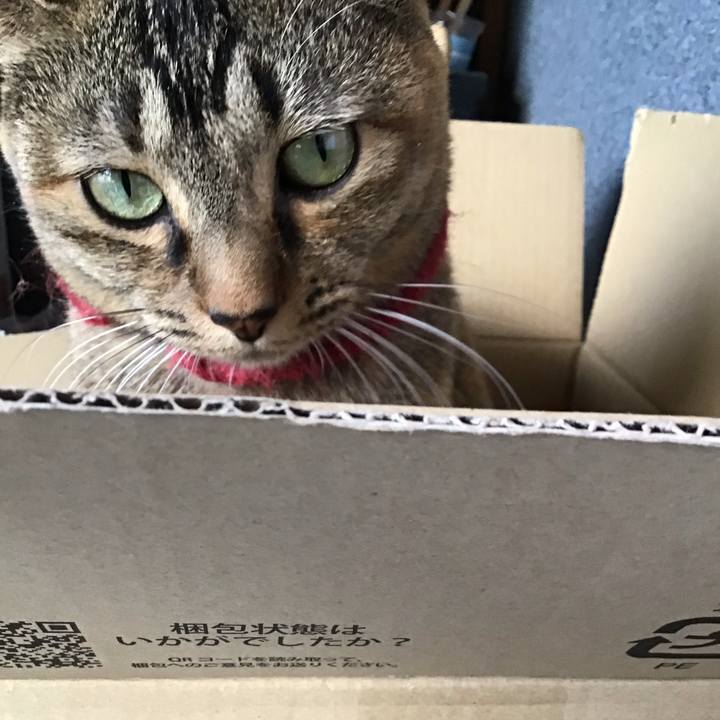 Fa13db7c 5ee6 418b a3f4 3a5c74c085a1 1612330547767