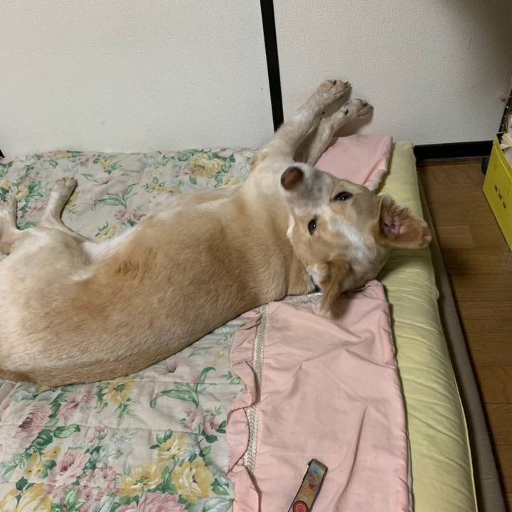 Fa141652 d49b 4951 ba53 d3f1c50e0ef4 1558360791851