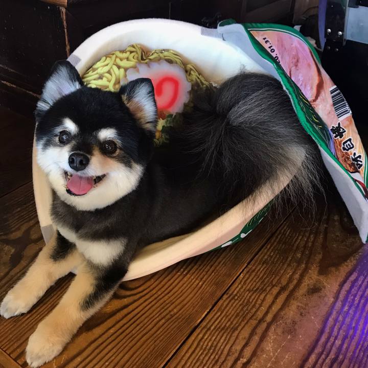 Fa1447f8 518d 41c7 bd71 98676fa9a558 1606110775014