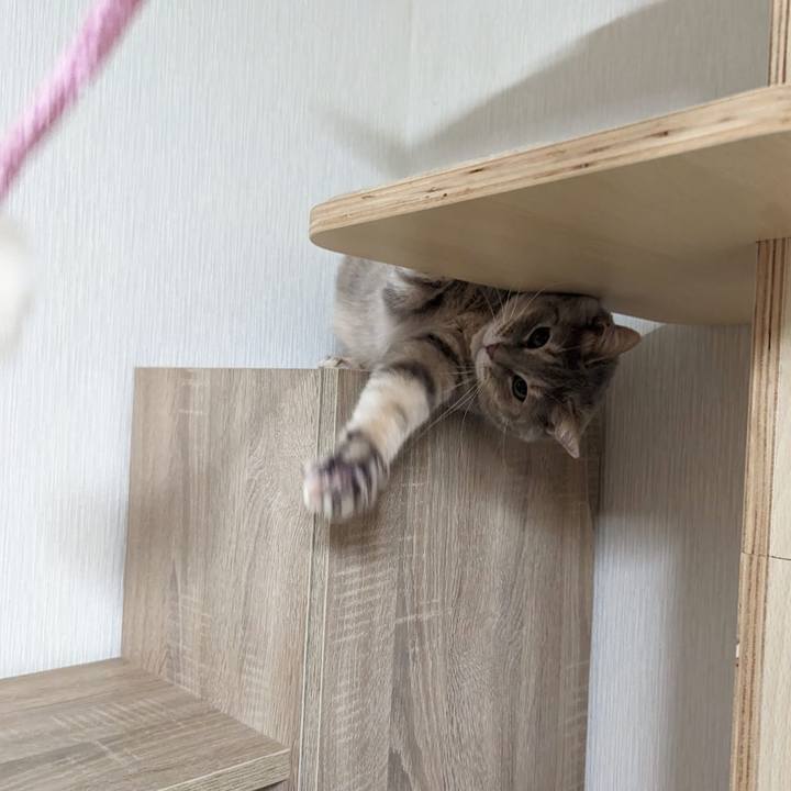 Fa14c889 e2ba 4a37 bd0d d9bf46444a5b 1718263570272