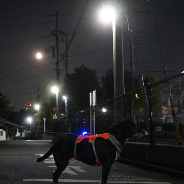 Fa14c922 1322 4edb bd88 b792f2fe6697 1762513593554