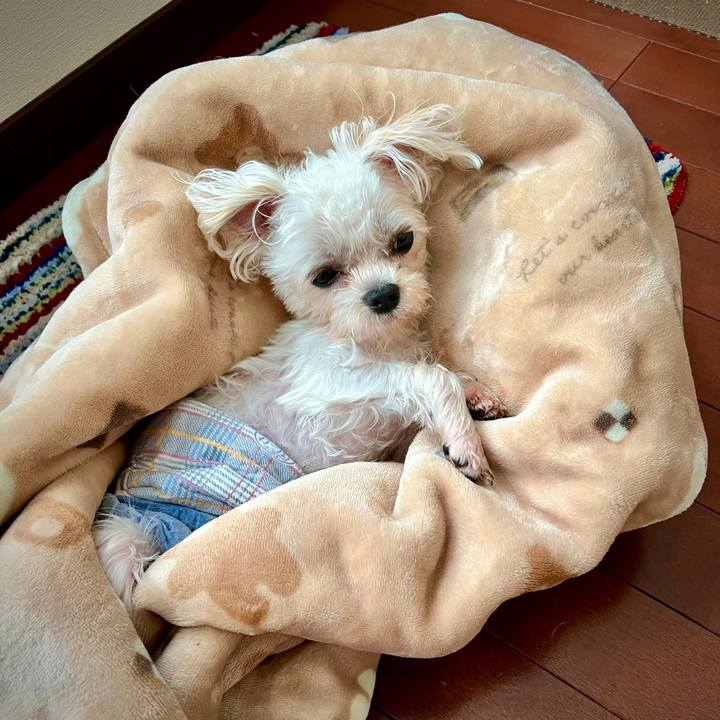 Fa14df4e be6c 436a b440 b420a17c1a54 1652682407542