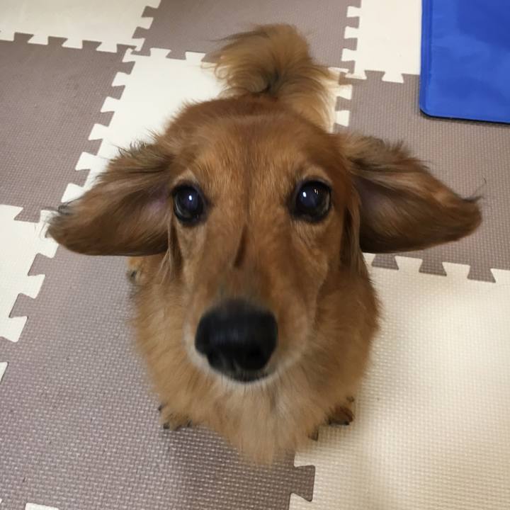 Fa14ee58 3bc2 4a85 a404 e1ea7bff5066 1536243116950