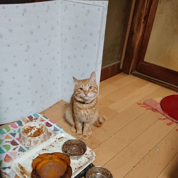 Fa14f603 ac05 4b79 9890 5732e3c733b4 1644920717672