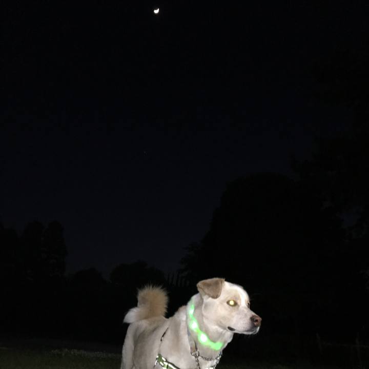 Fa14fc74 9537 4093 ad82 45755adf265c 1524220214954