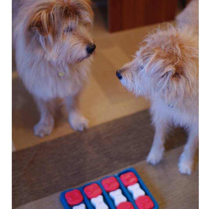 Fa15453b d304 4e89 a984 aa86a597230d 1582671514270