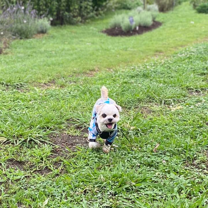 Fa158f71 4c3f 460a 80b2 79f34a6861de 1593936050871