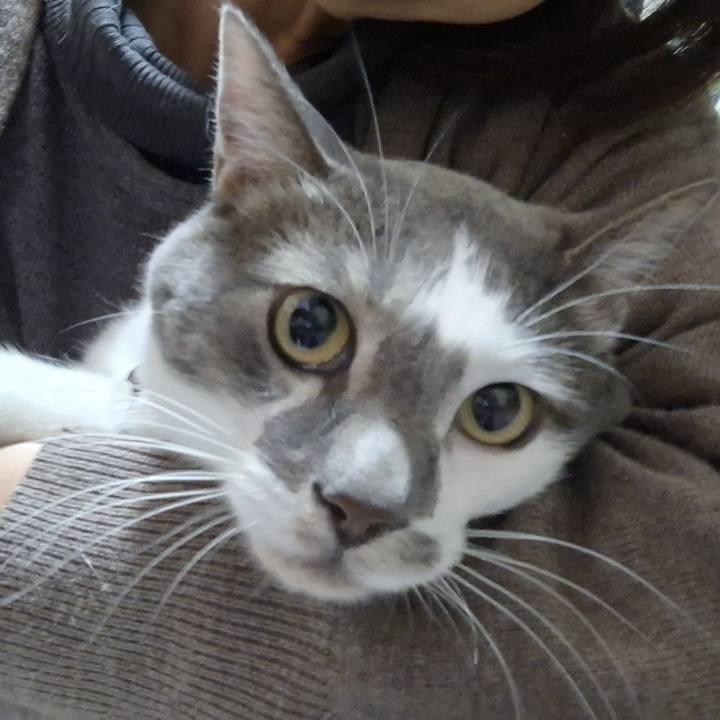 Fa1591fb 3018 4fd7 96e0 6f2a11bbe4c9 1765358490414