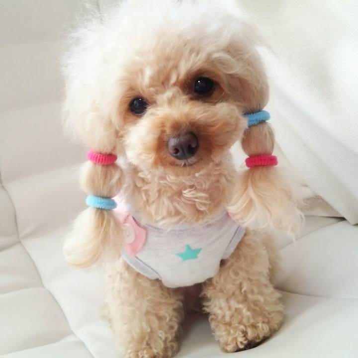 Fa15a6c3 40ea 48ae 8644 46bb9b5cae35 1516273564696