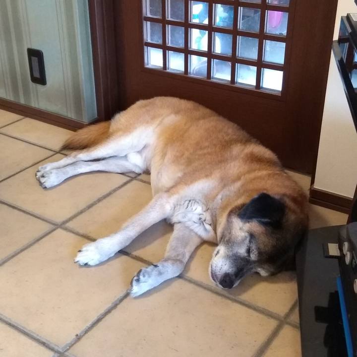 Fa15b3e2 5d61 4d38 9baf af4a40e3c198 1564629180784