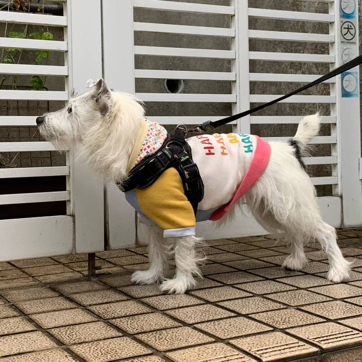 Fa15cd6b 90e3 4a9e 816b ea8c4d58b24e 1666172768437