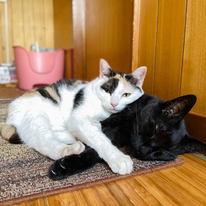 Fa1624b9 2158 482e a872 3077c9f122b8 1660272848107