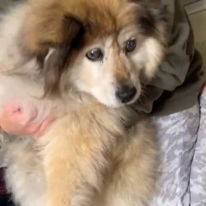 Fa162eb6 a6d9 4402 9bb2 b29ca12a7392 1561766063596