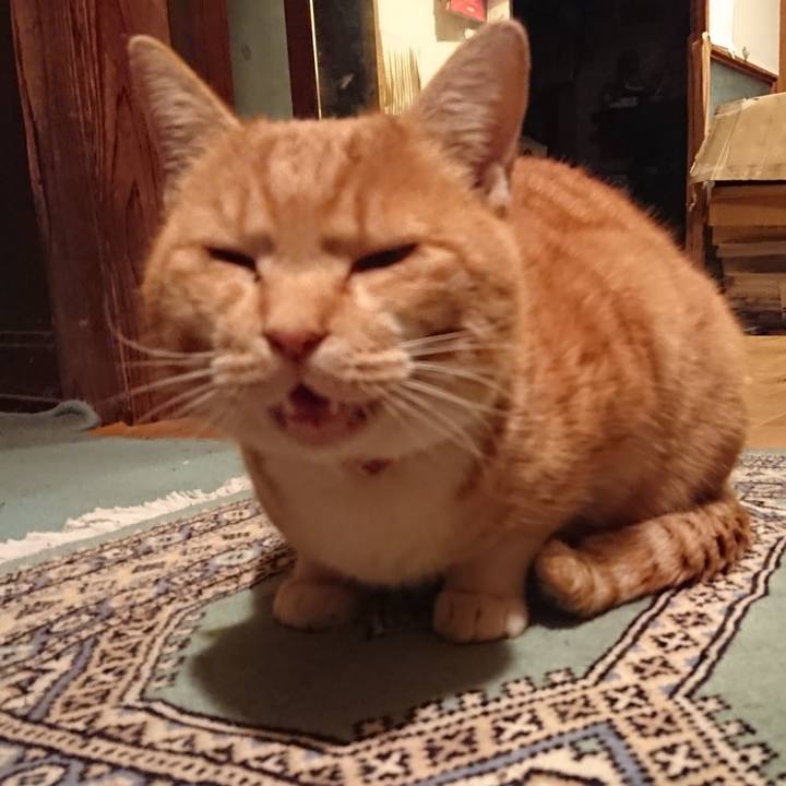 Fa1641f9 85bb 4bc1 9668 5f0e7ee7d66a 1576746564538