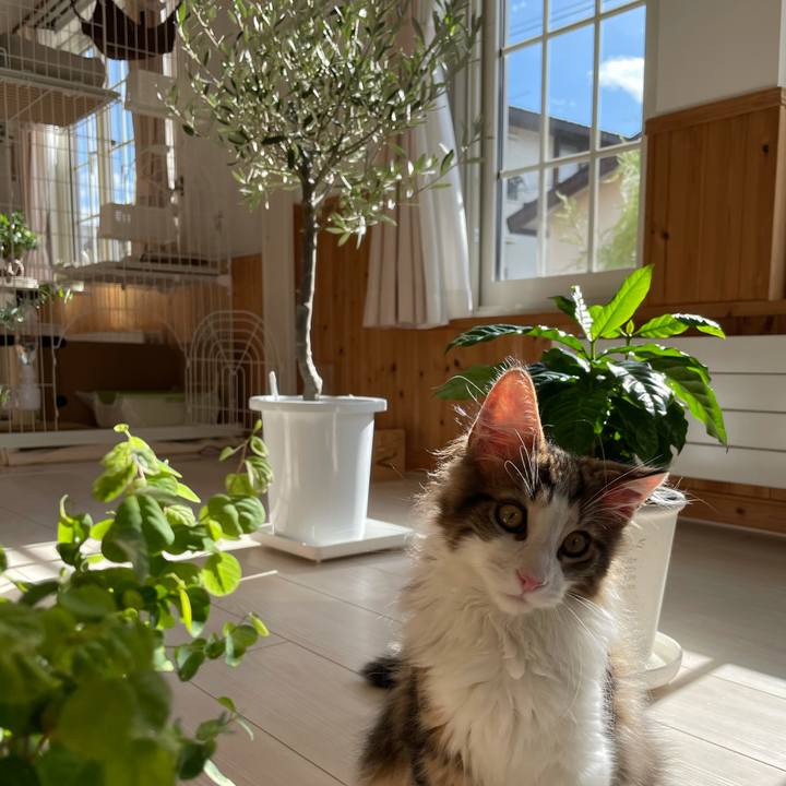 Fa1688d9 bbd9 4cd4 b824 7a29c8f67ef9 1634431109064