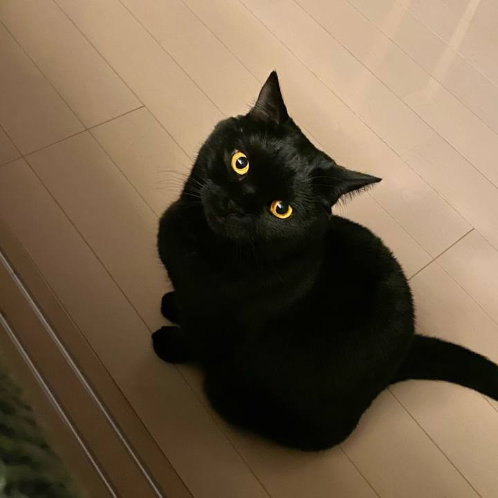 Fa1698e0 1966 4a3c a2c7 f9c09029724f 1641455397883