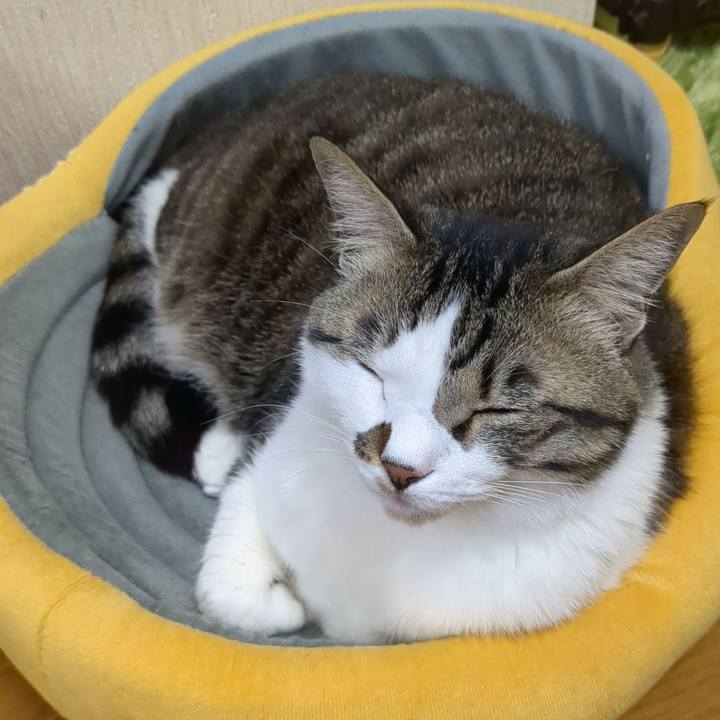 Fa16c894 7051 4615 8dcd 74ac1625bc55 1679559889225