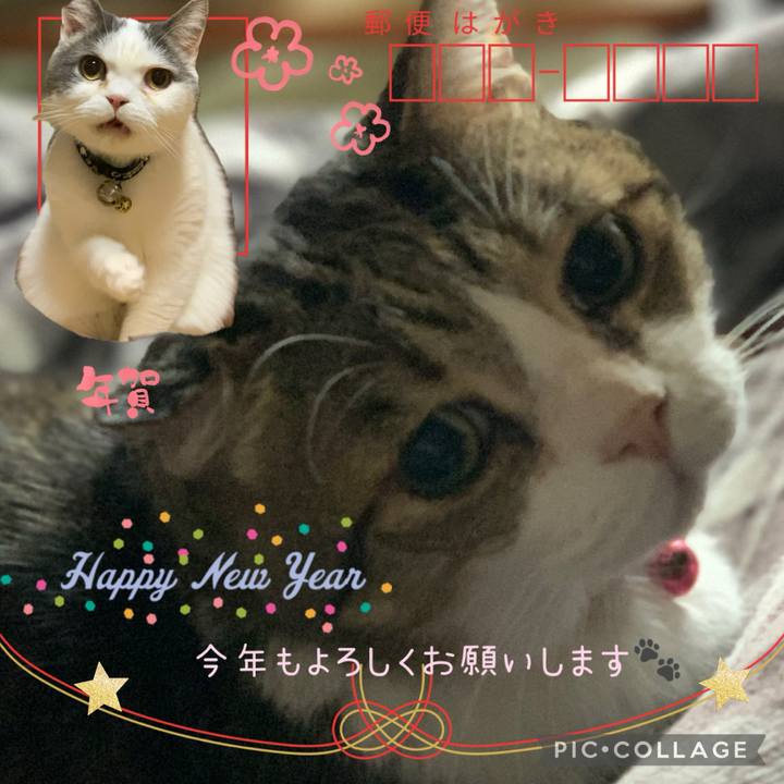 Fa16c92c d48a 447c 875f 64604e60f9da 1735821775340