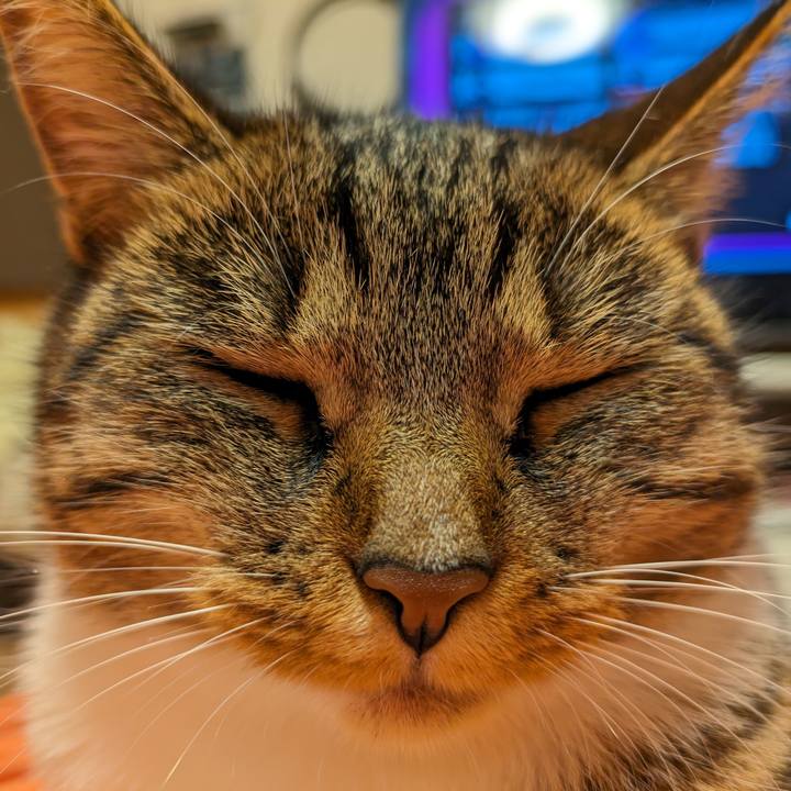 Fa172418 a8b9 4384 bbc0 c029d3ad5e84 1689166853187