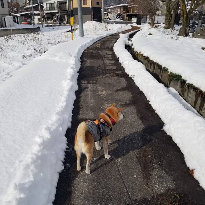 Fa172843 5fe6 4474 a9d2 733b1dccea49 1734756573312