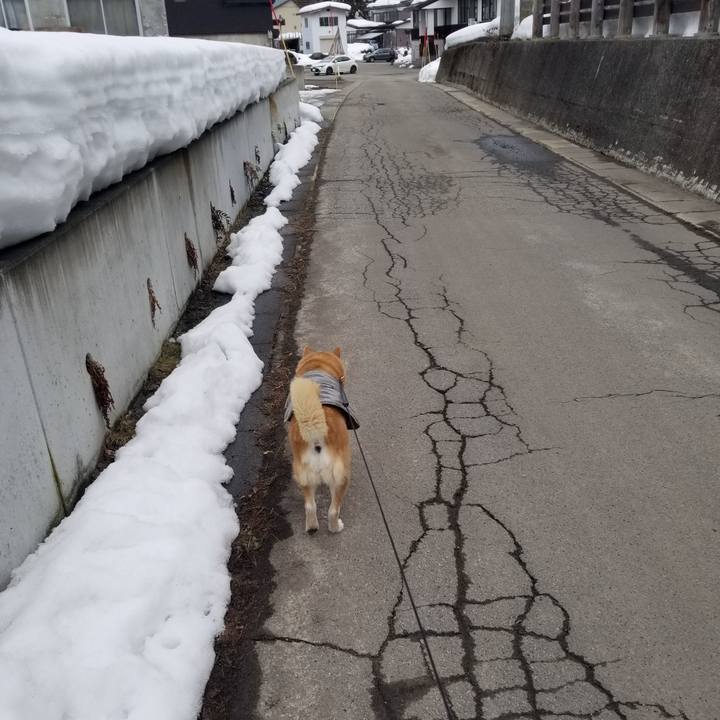 Fa17a15f 5cf2 4901 8fa4 a7f7c6c86e14 1738035734439