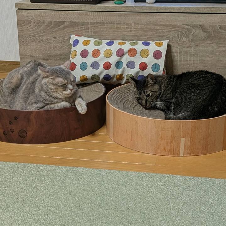 Fa1819ee be48 43c2 9246 17c676af2251 1763939510720