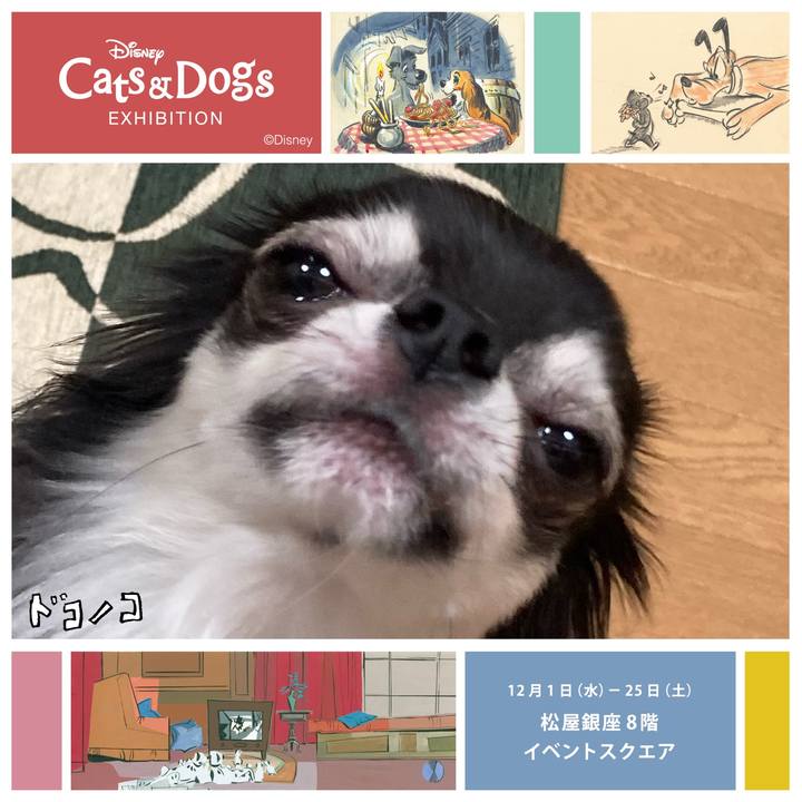 Fa184708 2f11 41ad 8664 6023b451cfcd 1638572197508