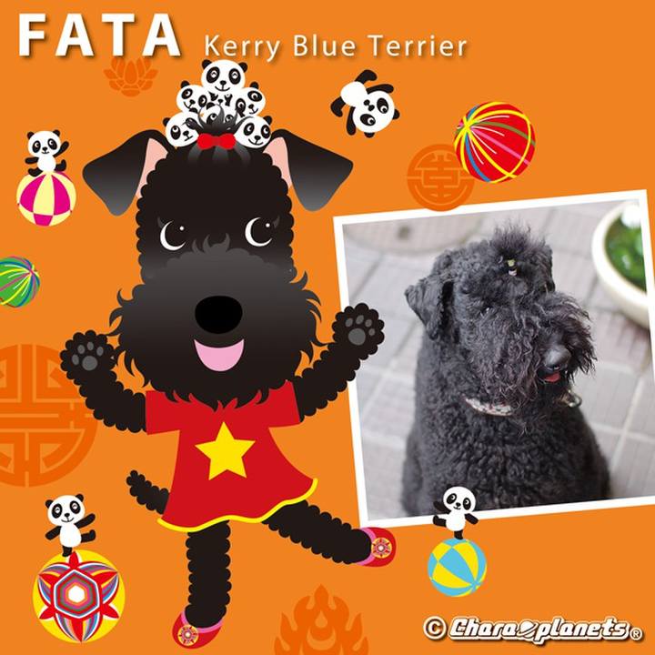 Fa18637a bcc1 4dd8 86bd bccc33e331f0 1560652690753