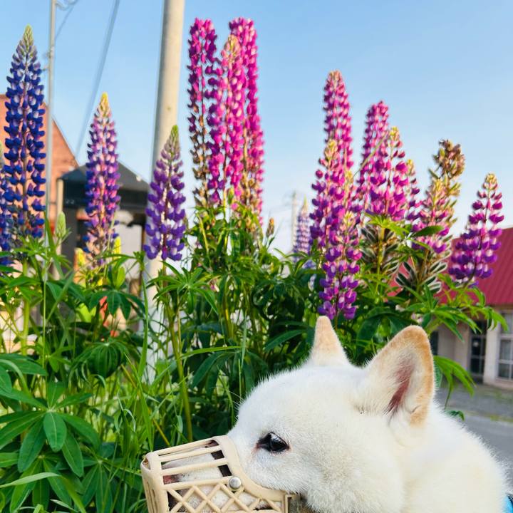 Fa1876ea 39c0 4cf4 b0cc be0c81451b7e 1749502929078