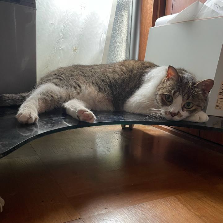 Fa187a25 b253 471a b8b0 aab83fa9735a 1750945550234