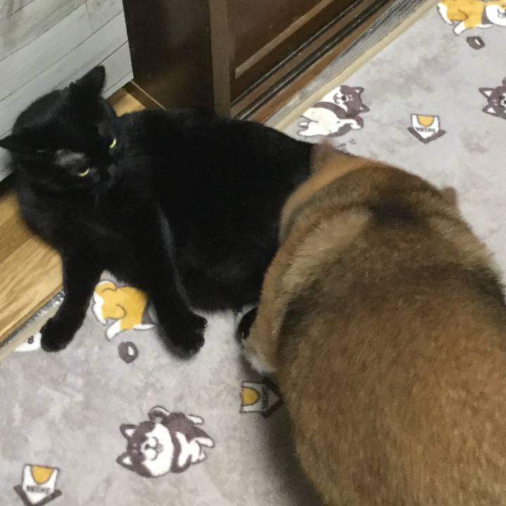 Fa18951f bc7e 498a 9910 7909b6e60368 1611805939507