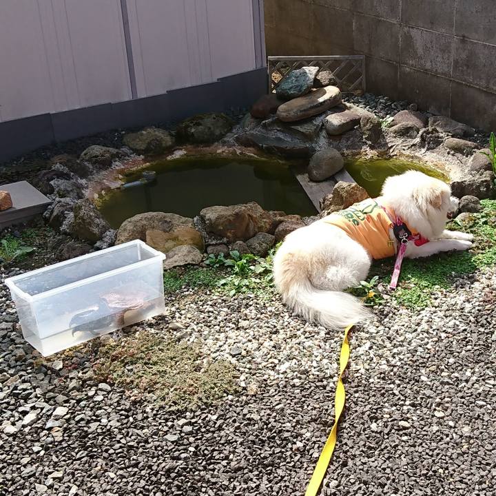 Fa189ac4 7cfb 40cc 979b dbdb2824cce1 1534292657165