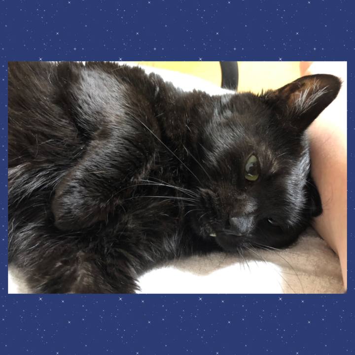 Fa18c6da 96c6 478b 8608 3b411ddcbe96 1621515909847