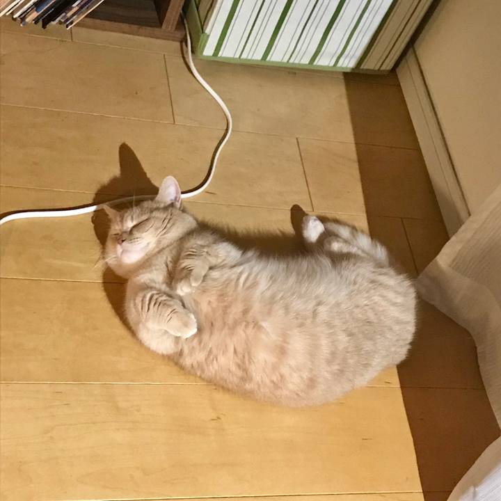 Fa18f018 4ff6 46b3 8bef 8ece80bab0dc 1552214385349