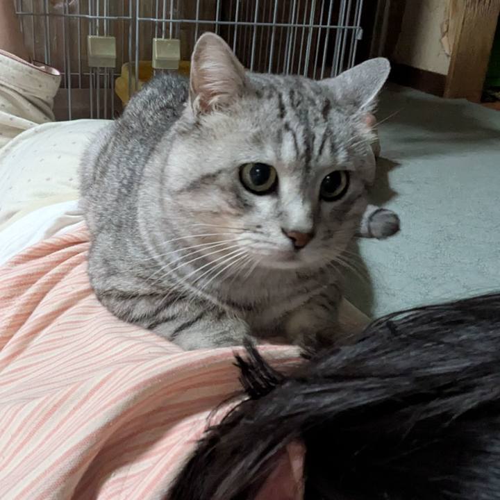 Fa18fd19 a04c 464f 9702 dbc2f3562ebe 1748662005740